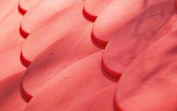 Leegomery plastic roof costs